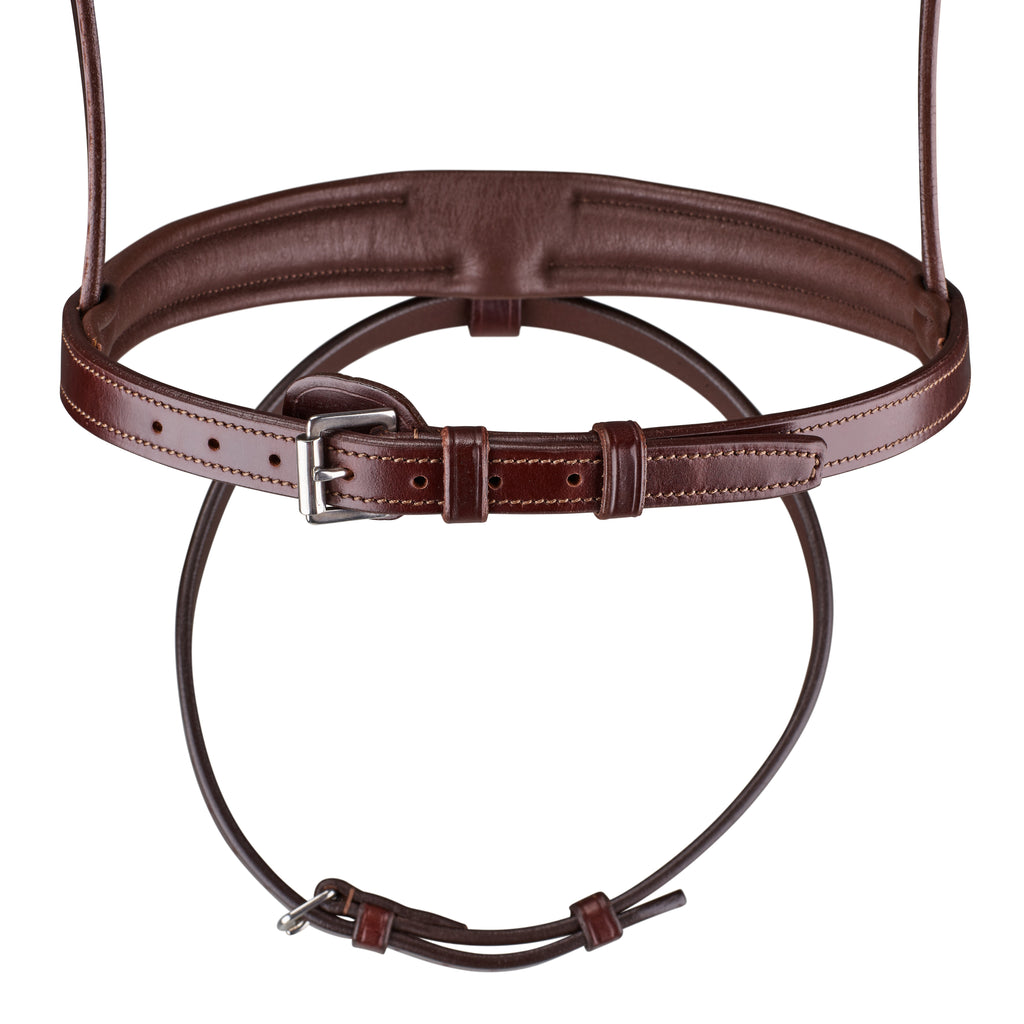Arena Comfort Bridle