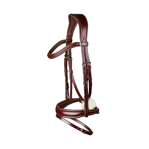 Arena Dressage Bridle