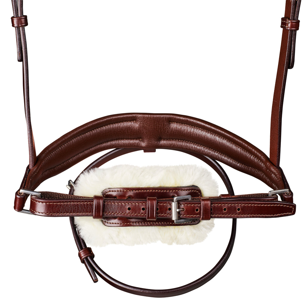 Arena Dressage Bridle