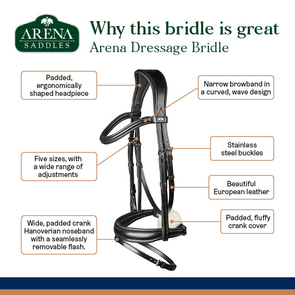Arena Dressage Bridle