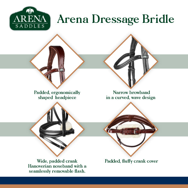 Arena Dressage Bridle
