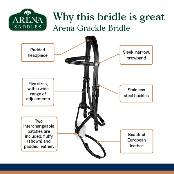 Arena Grackle