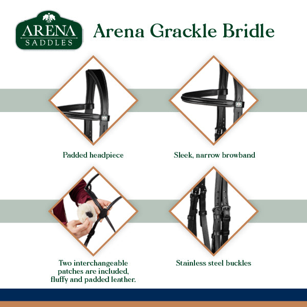 Arena Grackle
