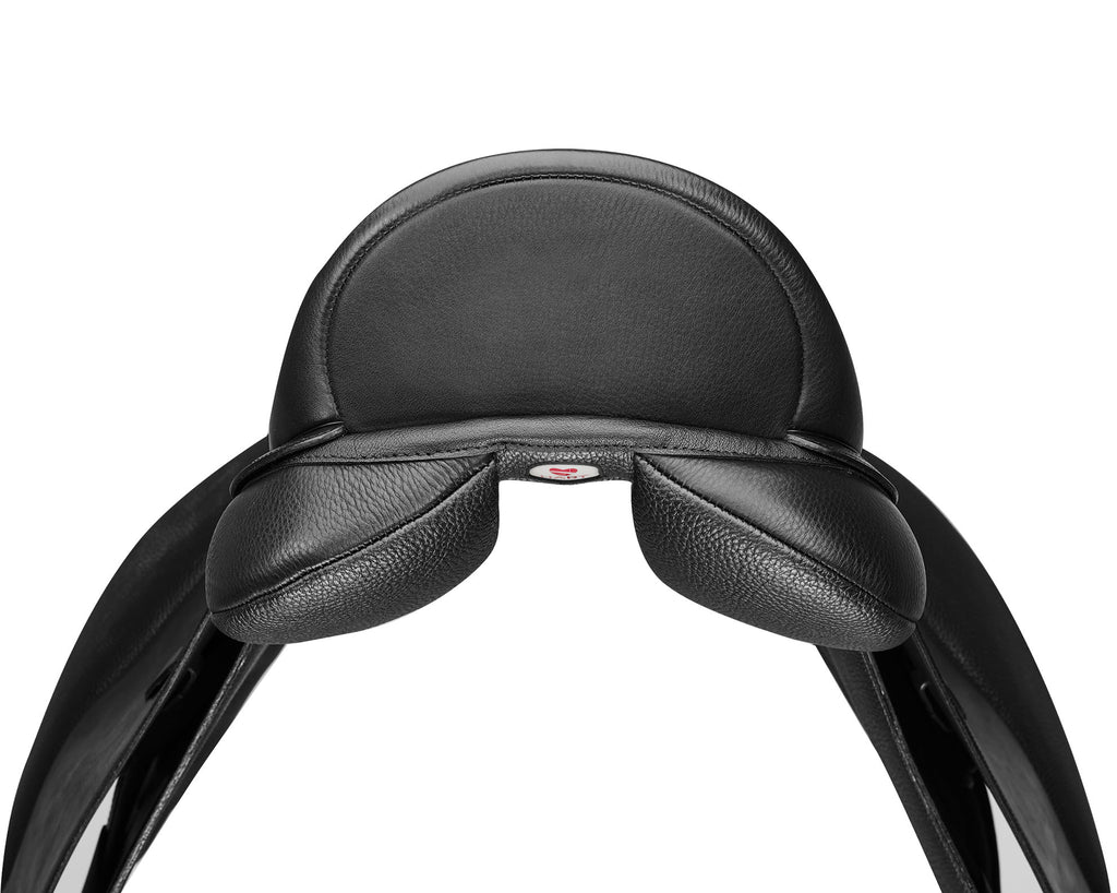 Arena Dressage