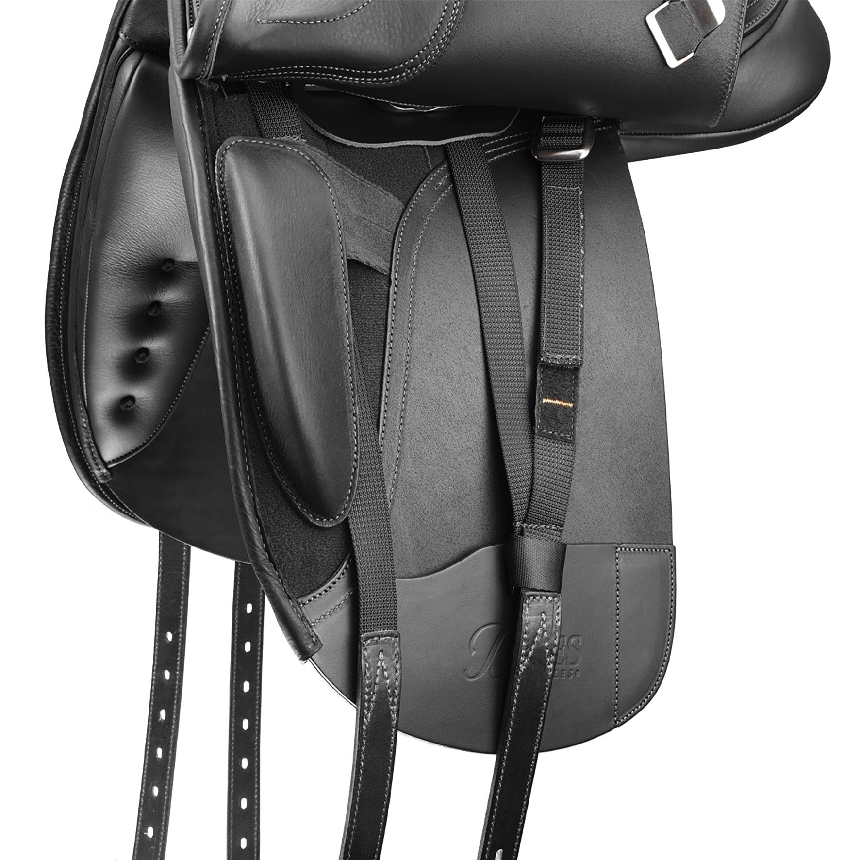 Bates Dressage+