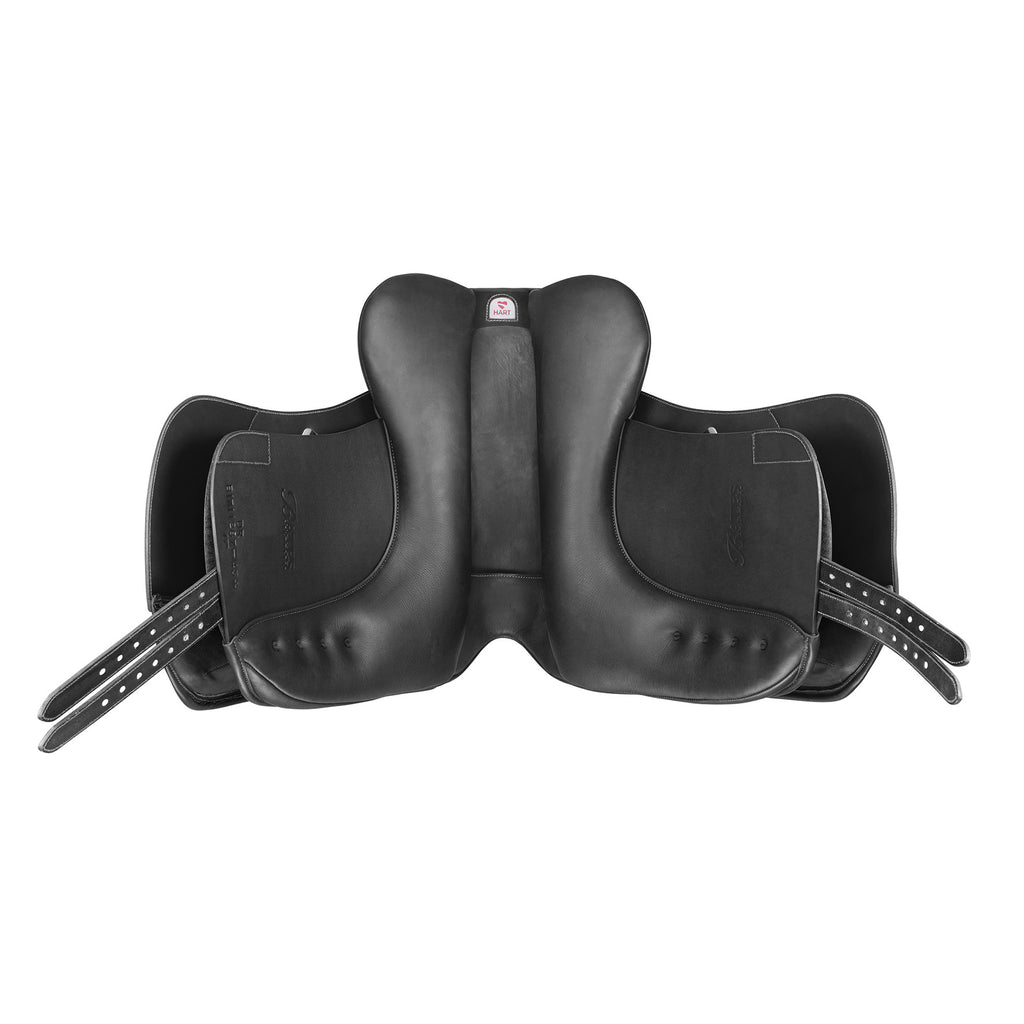 Bates Dressage+