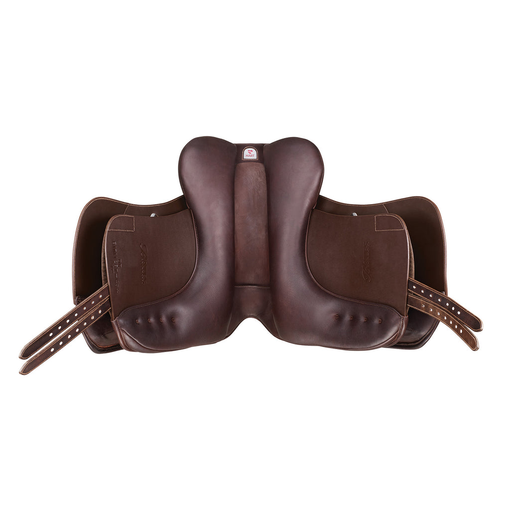 Bates Dressage+