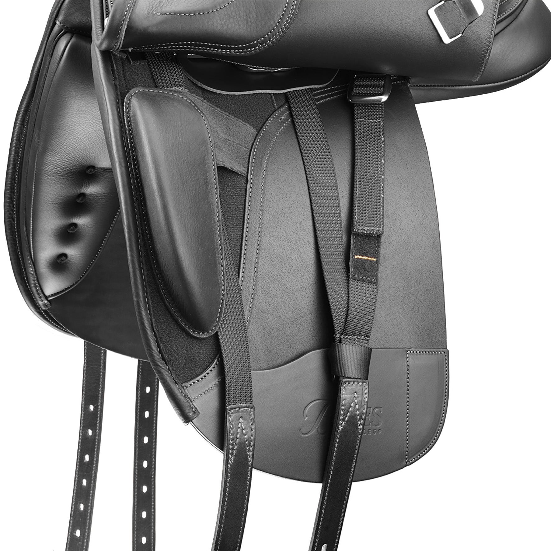 Bates Dressage