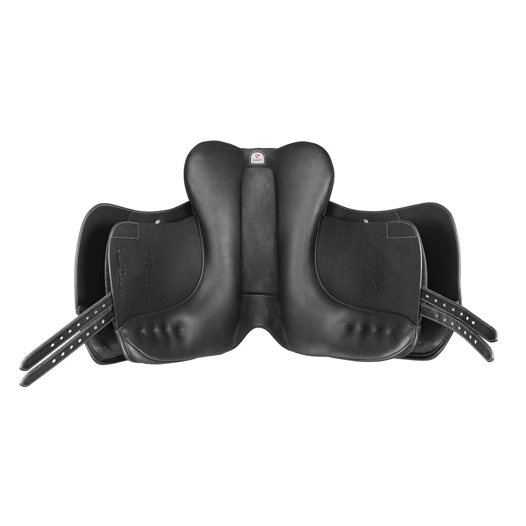 Bates Dressage