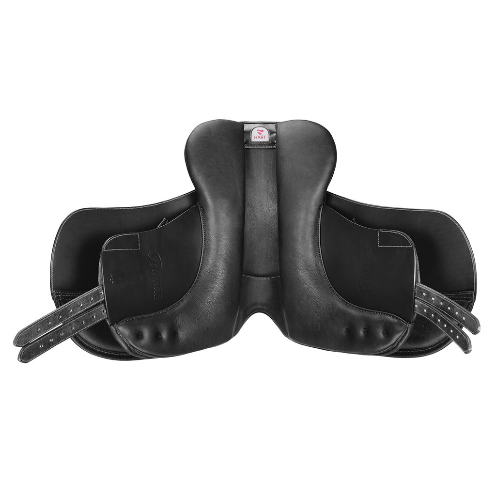 Bates Pony Dressage