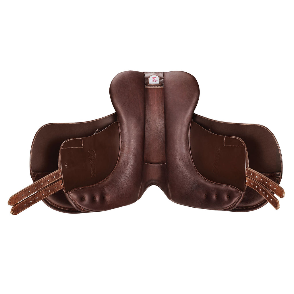 Bates Pony Dressage