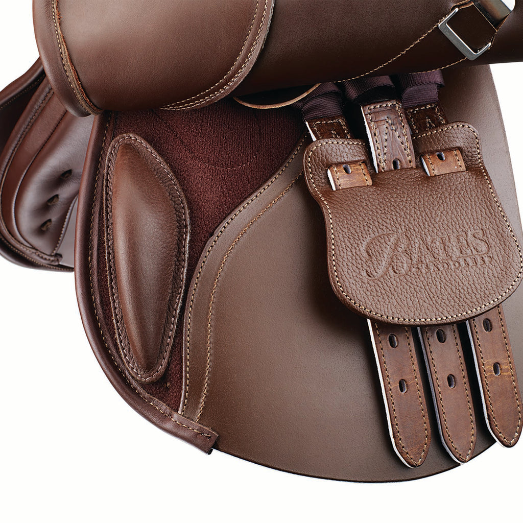 Bates Pony Elevation+