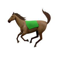 Horse- Centred Design