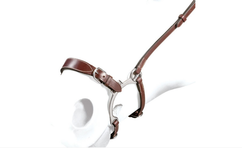 Equipe Lemman Noseband