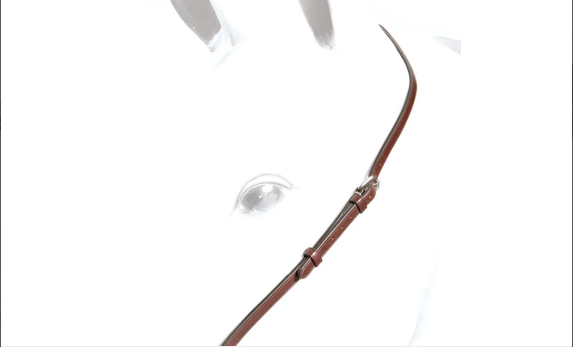 Equipe Lemman Noseband