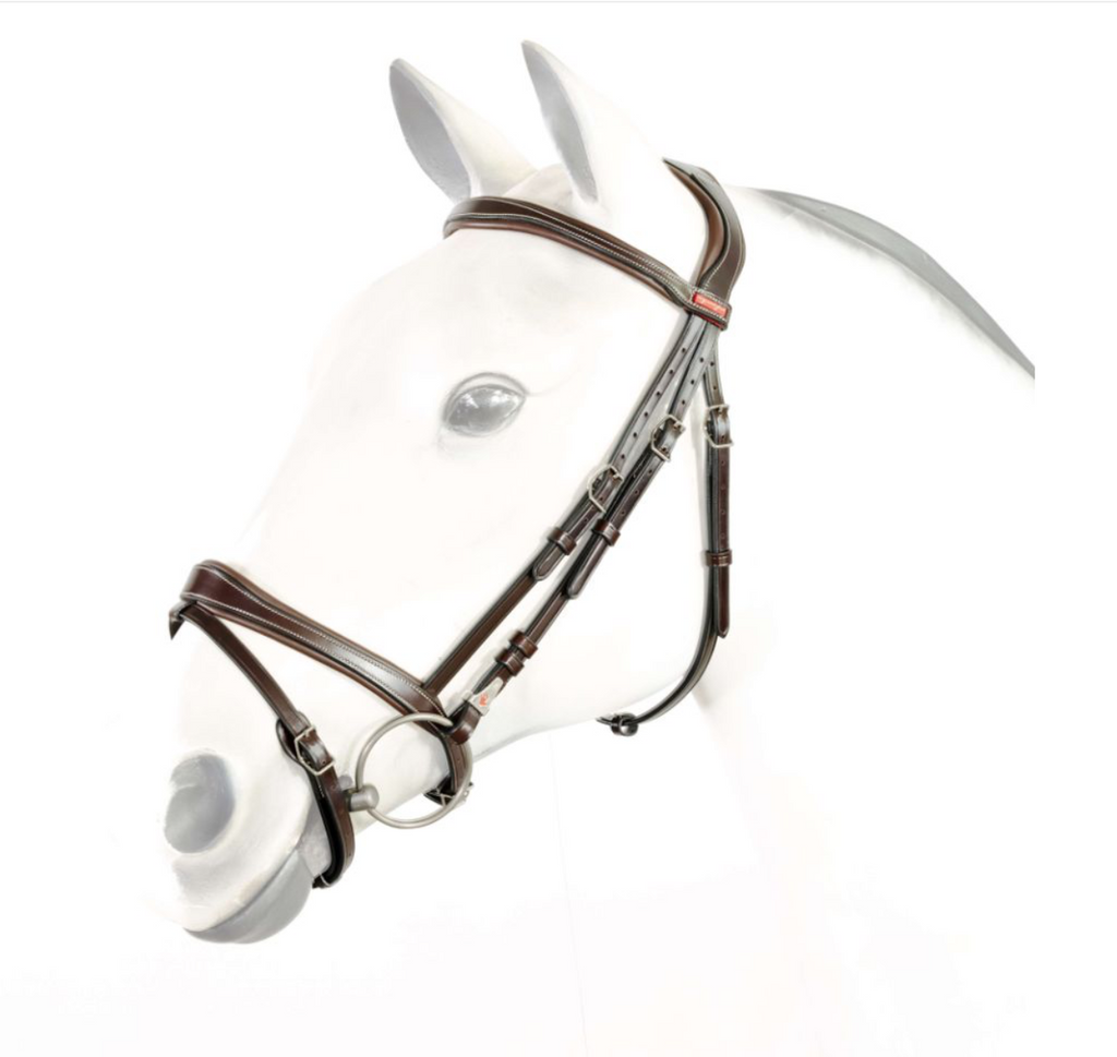 Equipe Flash Bridle with Anatomic Headpiece