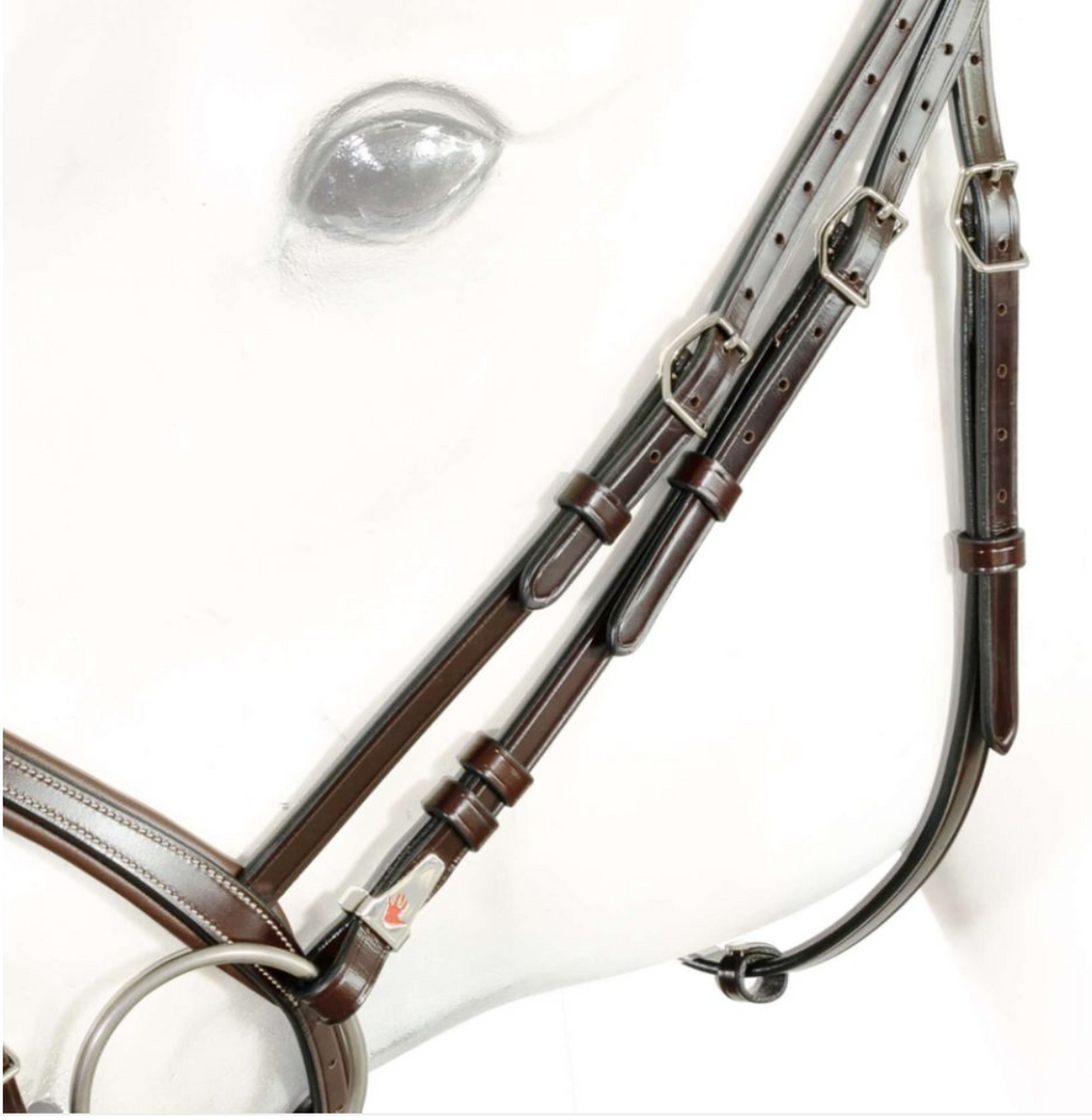 Equipe Flash Bridle with Anatomic Headpiece