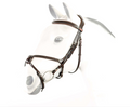 Equipe Mexican Bridle with Anatomic Headpiece