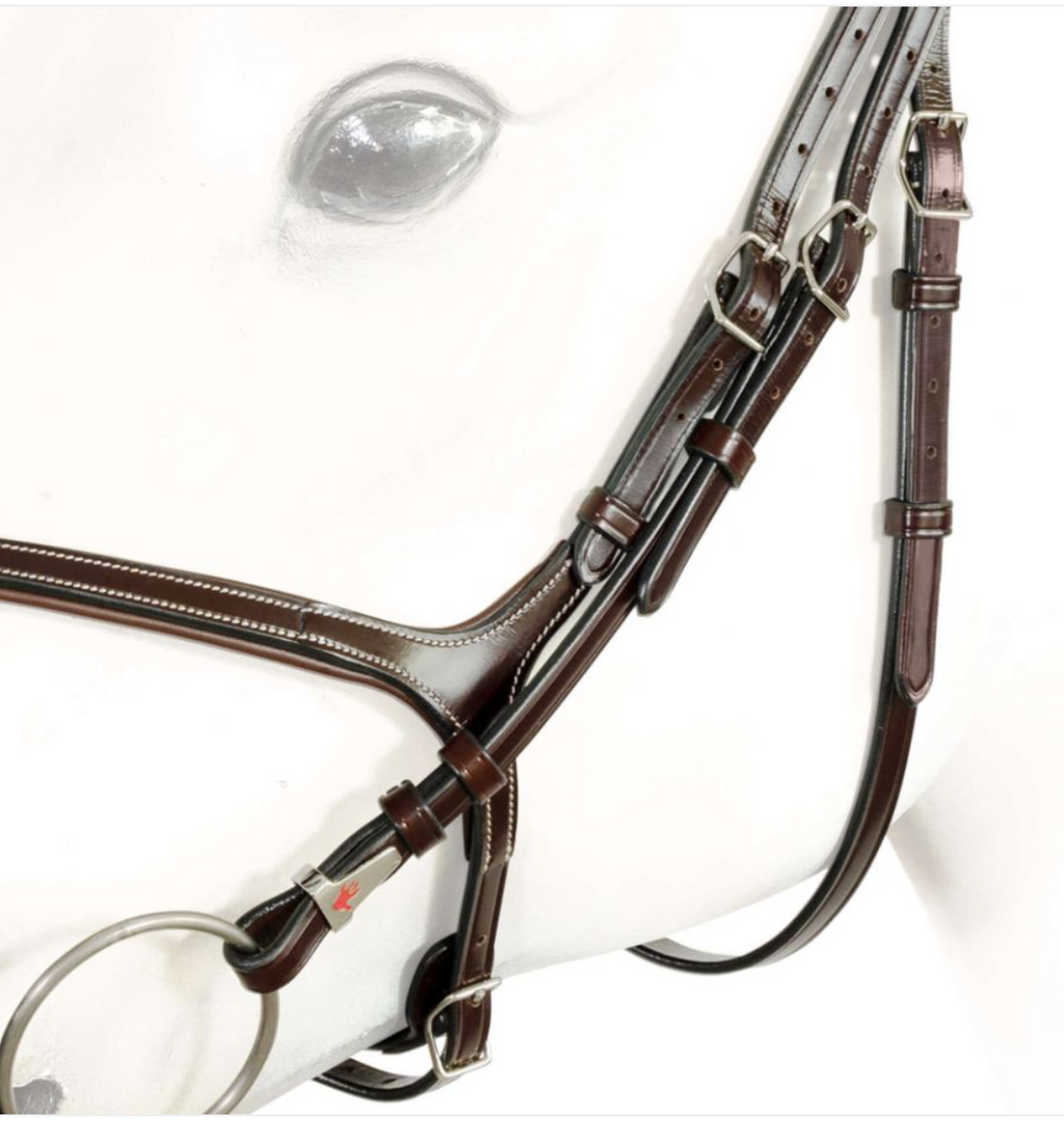 Equipe Mexican Bridle with Anatomic Headpiece