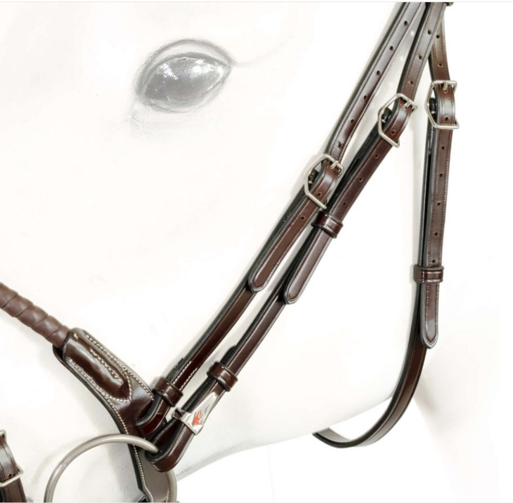 Equipe Bridle with Leather Covered Cord and Anatomical Headpiece