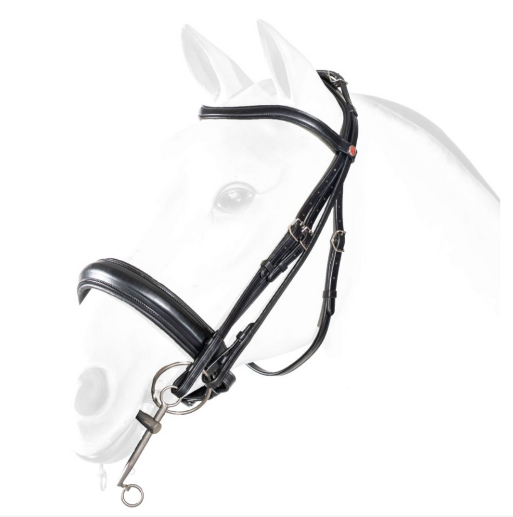 Equipe Dressage Double Bridle with Wide Noseband (Reins included)