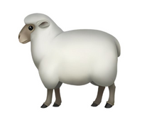 Premium Astralian Lambskin